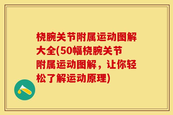 桡腕关节附属运动图解大全(50幅桡腕关节附属运动图解，让你轻松了解运动原理)