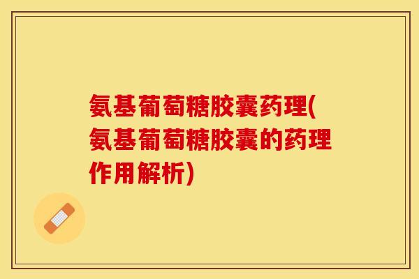 氨基葡萄糖胶囊药理(氨基葡萄糖胶囊的药理作用解析)