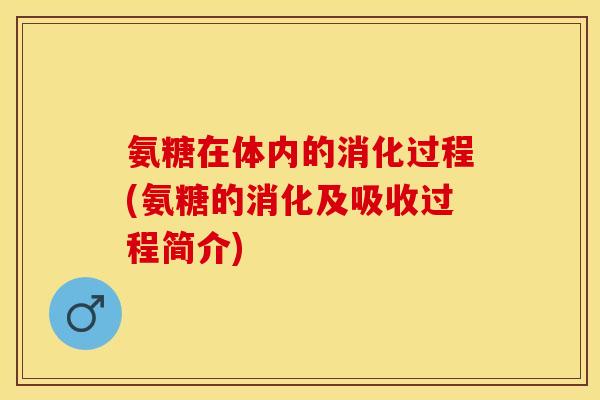 氨糖在体内的消化过程(氨糖的消化及吸收过程简介)