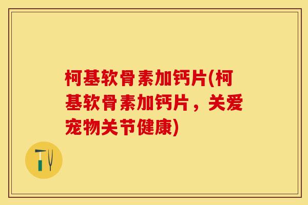 柯基软骨素加钙片(柯基软骨素加钙片，关爱宠物关节健康)