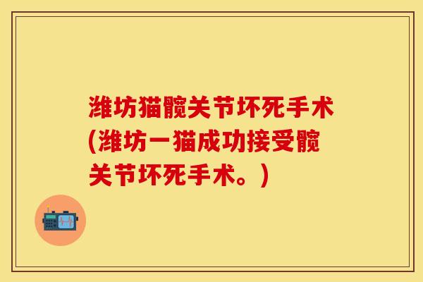 潍坊猫髋关节坏死手术(潍坊一猫成功接受髋关节坏死手术。)
