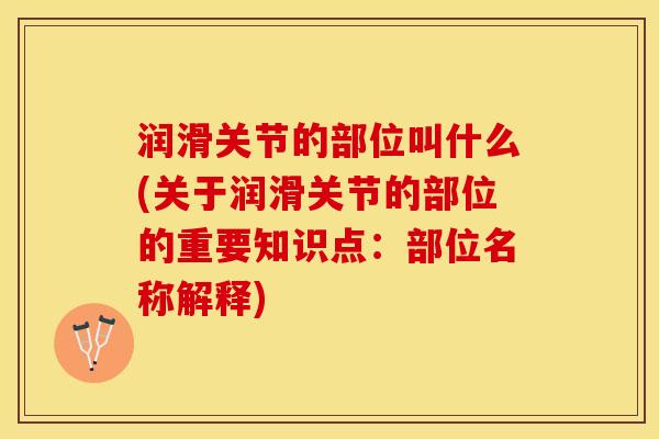 润滑关节的部位叫什么(关于润滑关节的部位的重要知识点：部位名称解释)