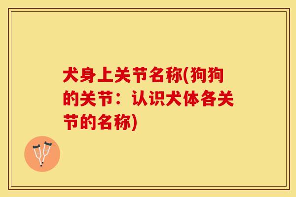 犬身上关节名称(狗狗的关节：认识犬体各关节的名称)