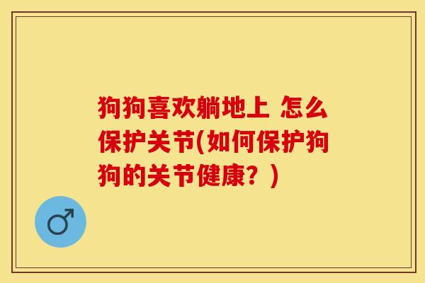 狗狗喜欢躺地上 怎么保护关节(如何保护狗狗的关节健康？)