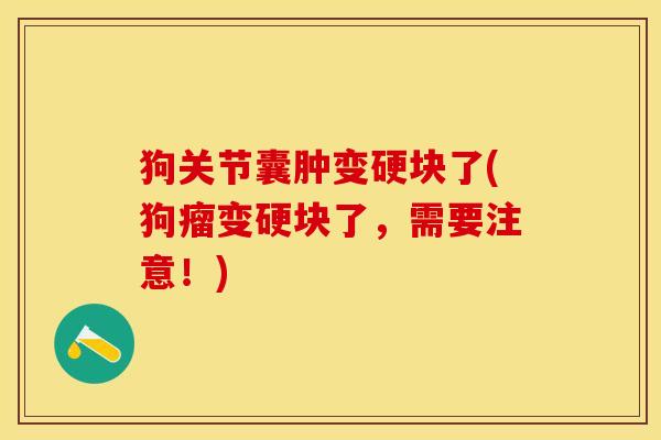 狗关节囊肿变硬块了(狗瘤变硬块了，需要注意！)