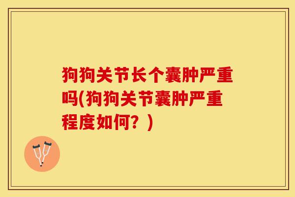 狗狗关节长个囊肿严重吗(狗狗关节囊肿严重程度如何？)