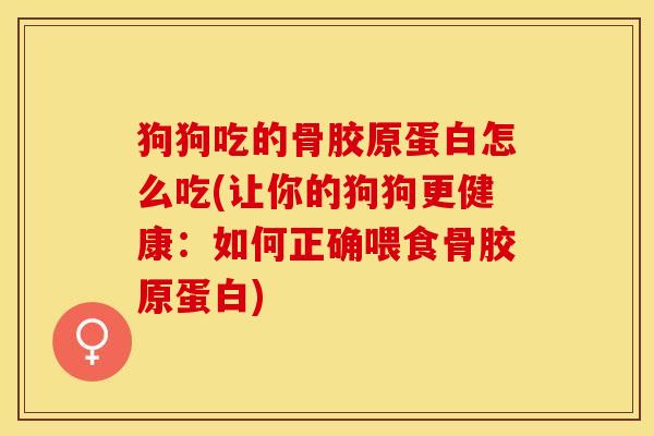 狗狗吃的骨胶原蛋白怎么吃(让你的狗狗更健康：如何正确喂食骨胶原蛋白)