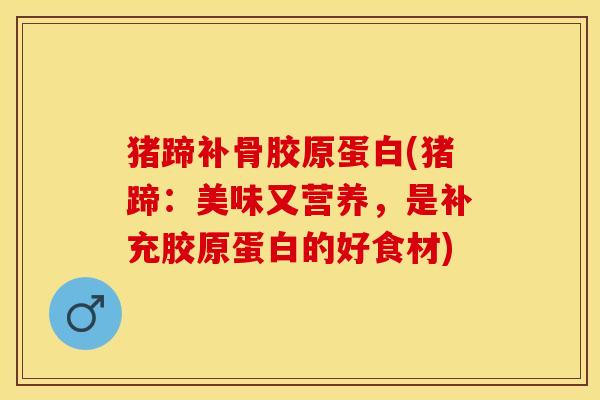 猪蹄补骨胶原蛋白(猪蹄：美味又营养，是补充胶原蛋白的好食材)