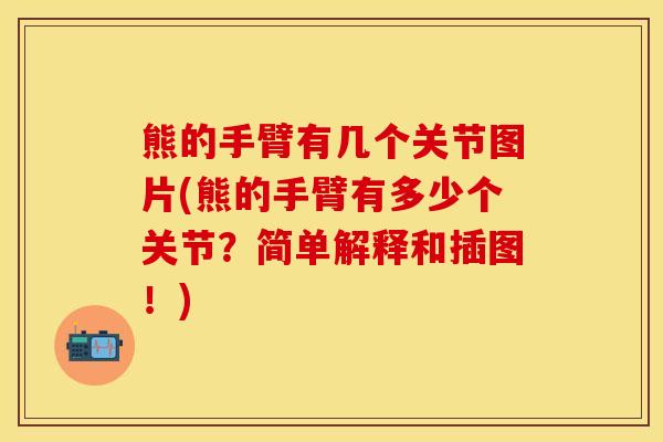 熊的手臂有几个关节图片(熊的手臂有多少个关节？简单解释和插图！)