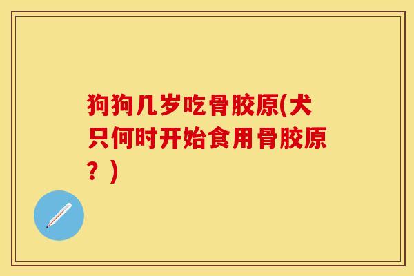 狗狗几岁吃骨胶原(犬只何时开始食用骨胶原？)