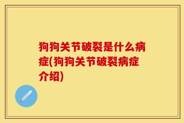 狗狗关节破裂是什么病症(狗狗关节破裂病症介绍)