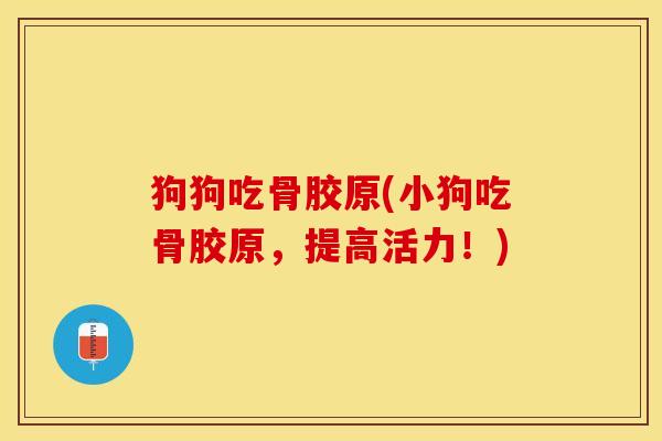 狗狗吃骨胶原(小狗吃骨胶原，提高活力！)