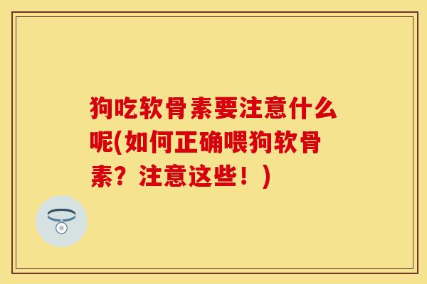狗吃软骨素要注意什么呢(如何正确喂狗软骨素？注意这些！)