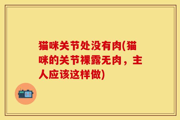 猫咪关节处没有肉(猫咪的关节裸露无肉，主人应该这样做)