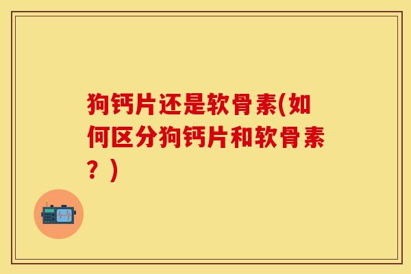 狗钙片还是软骨素(如何区分狗钙片和软骨素？)