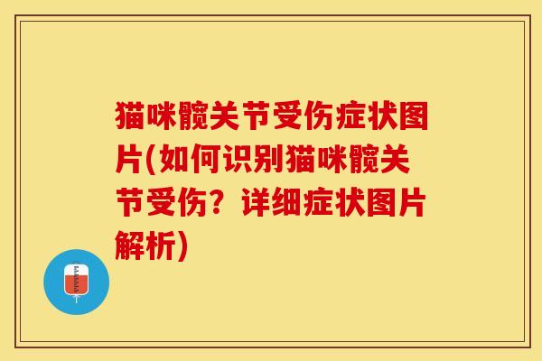 猫咪髋关节受伤症状图片(如何识别猫咪髋关节受伤？详细症状图片解析)