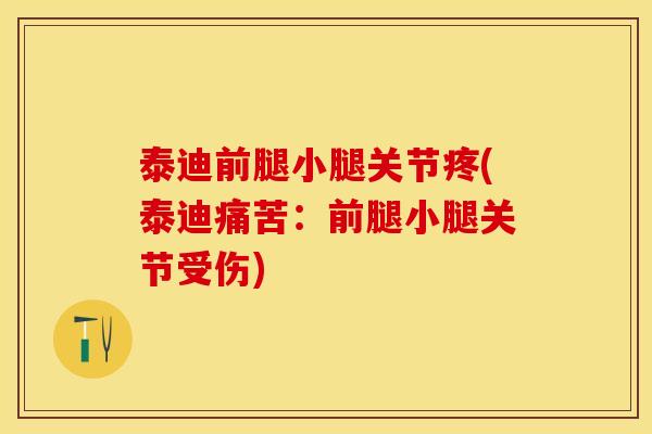 泰迪前腿小腿关节疼(泰迪痛苦：前腿小腿关节受伤)