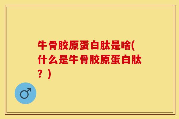 牛骨胶原蛋白肽是啥(什么是牛骨胶原蛋白肽？)