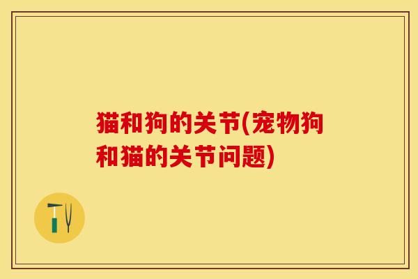 猫和狗的关节(宠物狗和猫的关节问题)
