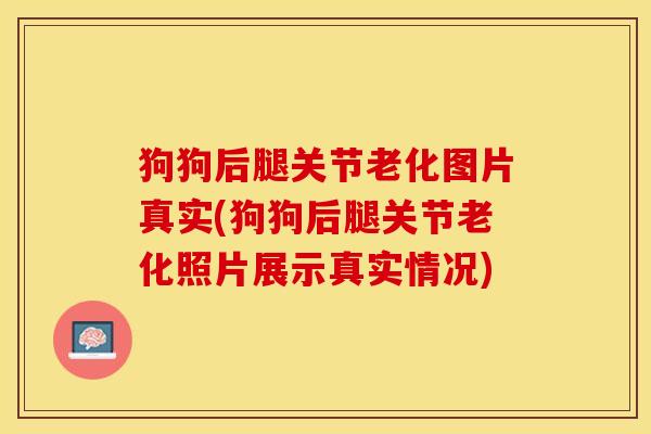 狗狗后腿关节老化图片真实(狗狗后腿关节老化照片展示真实情况)