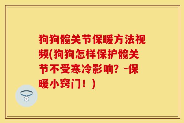 狗狗髋关节保暖方法视频(狗狗怎样保护髋关节不受寒冷影响？-保暖小窍门！)