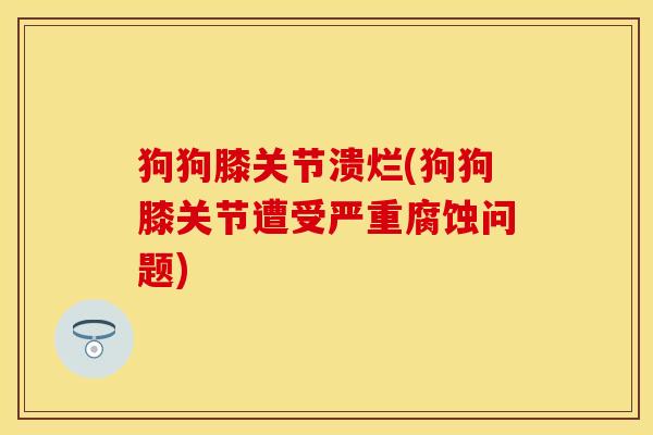 狗狗膝关节溃烂(狗狗膝关节遭受严重腐蚀问题)
