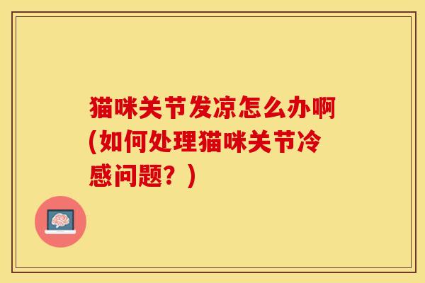 猫咪关节发凉怎么办啊(如何处理猫咪关节冷感问题？)