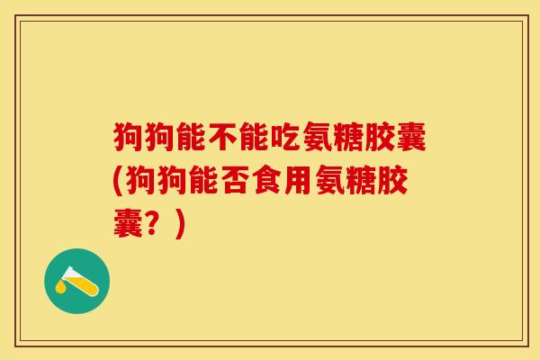 狗狗能不能吃氨糖胶囊(狗狗能否食用氨糖胶囊？)