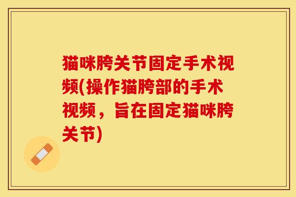 猫咪胯关节固定手术视频(操作猫胯部的手术视频，旨在固定猫咪胯关节)