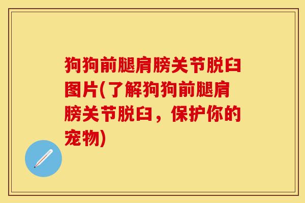 狗狗前腿肩膀关节脱臼图片(了解狗狗前腿肩膀关节脱臼，保护你的宠物)