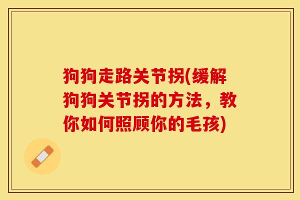 狗狗走路关节拐(缓解狗狗关节拐的方法，教你如何照顾你的毛孩)