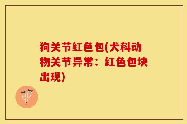 狗关节红色包(犬科动物关节异常：红色包块出现)