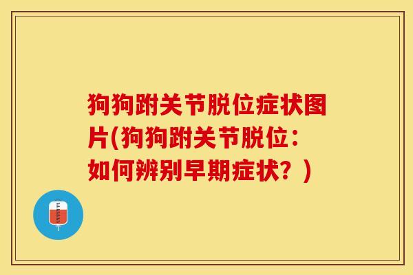 狗狗跗关节脱位症状图片(狗狗跗关节脱位：如何辨别早期症状？)