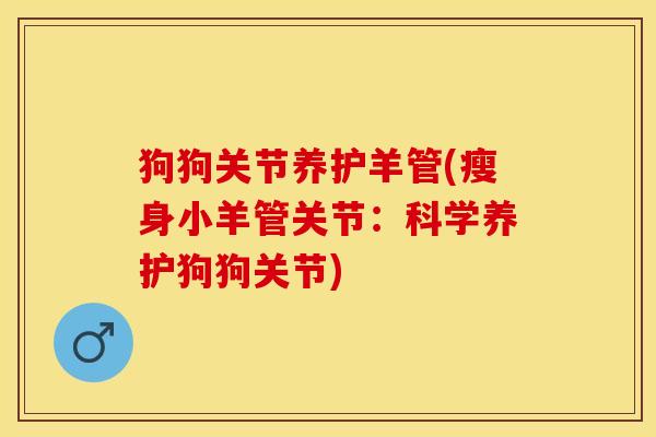 狗狗关节养护羊管(瘦身小羊管关节：科学养护狗狗关节)