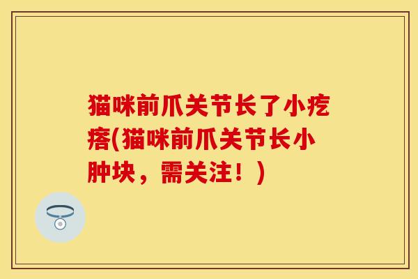 猫咪前爪关节长了小疙瘩(猫咪前爪关节长小肿块，需关注！)