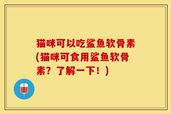 猫咪可以吃鲨鱼软骨素(猫咪可食用鲨鱼软骨素？了解一下！)