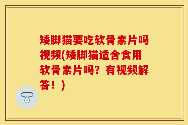 矮脚猫要吃软骨素片吗视频(矮脚猫适合食用软骨素片吗？有视频解答！)
