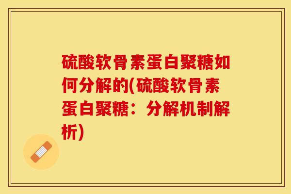 硫酸软骨素蛋白聚糖如何分解的(硫酸软骨素蛋白聚糖：分解机制解析)