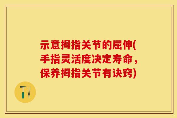 示意拇指关节的屈伸(手指灵活度决定寿命，保养拇指关节有诀窍)
