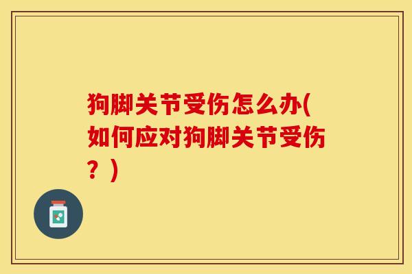 狗脚关节受伤怎么办(如何应对狗脚关节受伤？)