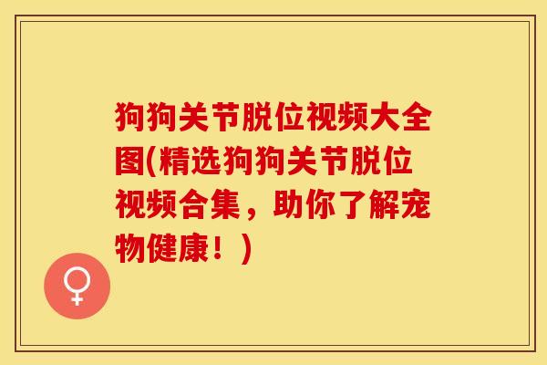 狗狗关节脱位视频大全图(精选狗狗关节脱位视频合集，助你了解宠物健康！)