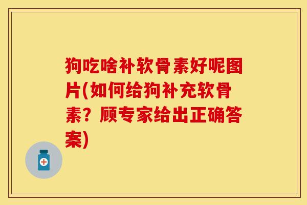 狗吃啥补软骨素好呢图片(如何给狗补充软骨素？顾专家给出正确答案)
