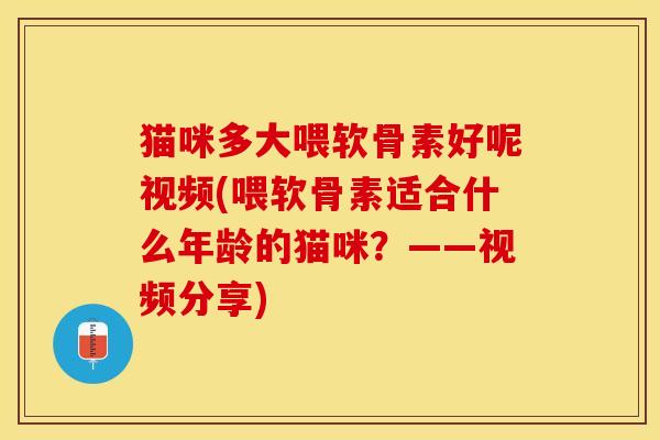 猫咪多大喂软骨素好呢视频(喂软骨素适合什么年龄的猫咪？——视频分享)