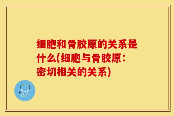 细胞和骨胶原的关系是什么(细胞与骨胶原：密切相关的关系)