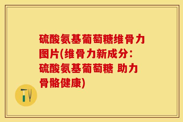 硫酸氨基葡萄糖维骨力图片(维骨力新成分：硫酸氨基葡萄糖 助力骨骼健康)