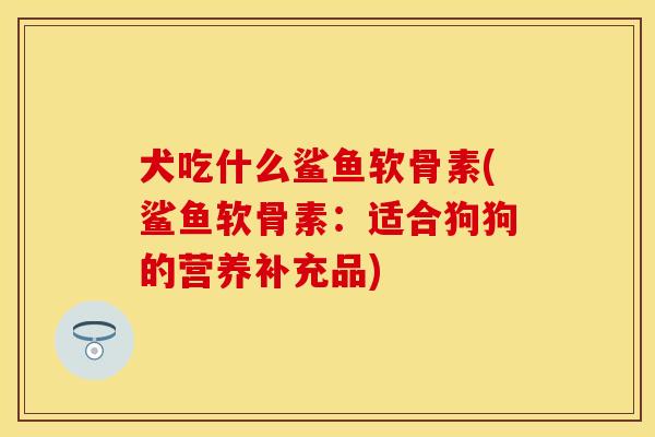 犬吃什么鲨鱼软骨素(鲨鱼软骨素:适合狗狗的营养补充品) 犬吃什么鲨鱼软骨素(鲨鱼软骨素:适合狗狗的营养补充品)