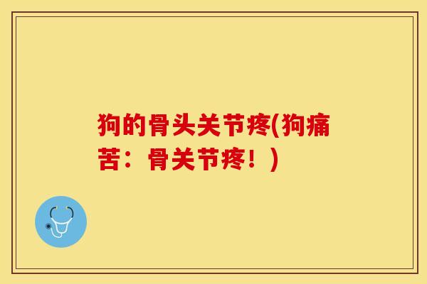 狗的骨头关节疼(狗痛苦：骨关节疼！)