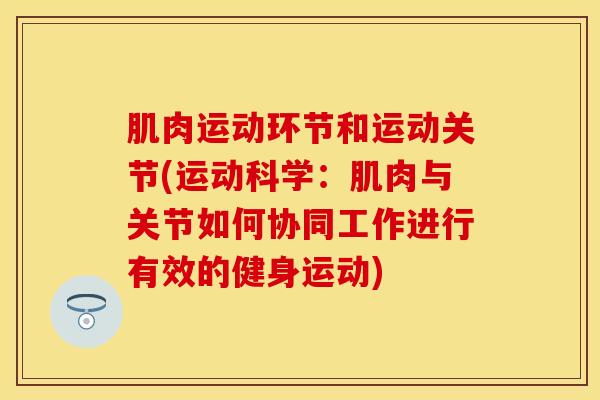 肌肉运动环节和运动关节(运动科学：肌肉与关节如何协同工作进行有效的健身运动)