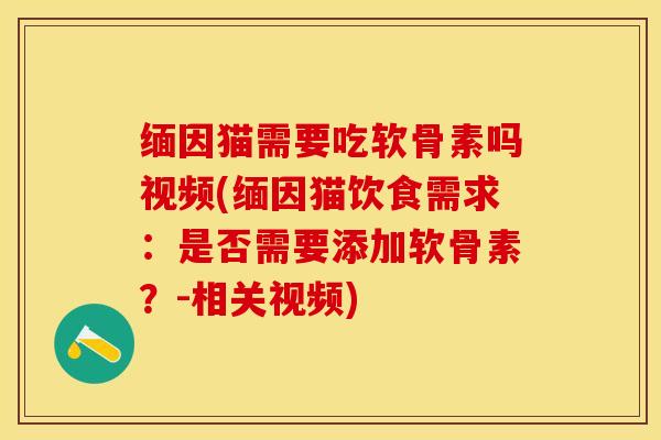 缅因猫需要吃软骨素吗视频(缅因猫饮食需求：是否需要添加软骨素？-相关视频)