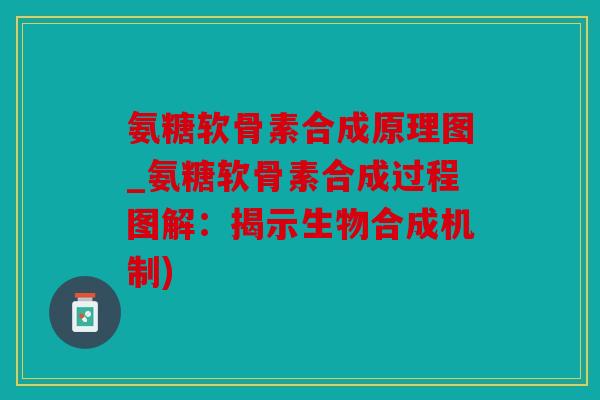 氨糖软骨素合成原理图_氨糖软骨素合成过程图解：揭示生物合成机制)